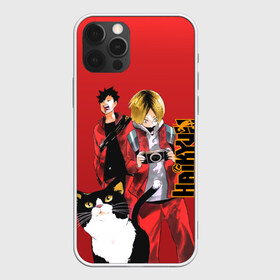 Чехол для iPhone 12 Pro Max с принтом Haikyu!!! в городе Новоалтайск, Силикон |  | anime | haikyu | haikyu хайкю | аниме | волейбол | спортивная манга