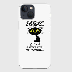 Чехол для iPhone 13 mini с принтом За вчерашнее стыдно в городе Новоалтайск,  |  | животные | кот | надписи | стыдно | юмор