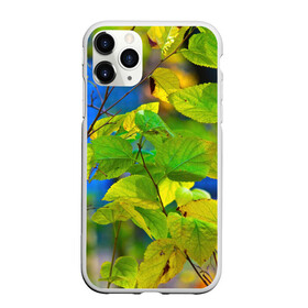 Чехол для iPhone 11 Pro Max матовый с принтом Листва в городе Новоалтайск, Силикон |  | береза | деревья | листья | осень | природа