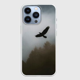 Чехол для iPhone 13 Pro с принтом Орёл над лесом в городе Новоалтайск,  |  | bird | dark | fog | forest | heaven | jh k | ktc | sky | texture | деревья | животные | лес | небо | орел | природа | птица | птицы | текстуры | тёмный лес | туман