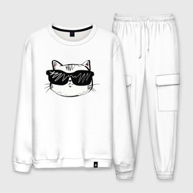 Мужской костюм хлопок с принтом COOL CAT в городе Новоалтайск, 100% хлопок | на свитшоте круглая горловина, мягкая резинка по низу. Брюки заужены к низу, на них два вида карманов: два “обычных” по бокам и два объемных, с клапанами, расположенные ниже линии бедра. Брюки с мягкой трикотажной резинкой на поясе и по низу штанин. В поясе для дополнительного комфорта — широкие завязки | Тематика изображения на принте: cat | киса | киска | кот | коты | котяра | кошечка | кошка | ленивец | лиса | лисичка | очки | панда | с кисой | с котом | с кошечкой | собака