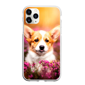 Чехол для iPhone 11 Pro Max матовый с принтом Вельш-корги в городе Новоалтайск, Силикон |  | Тематика изображения на принте: dog | вельш | вельш корги | животные | корги | пес | природа | собака | собаки | собакчка | собачки