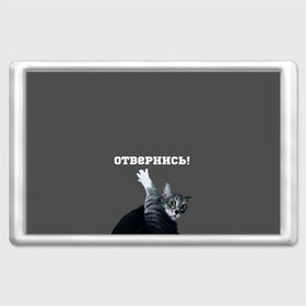 Магнит 45*70 с принтом Отвернись! в городе Новоалтайск, Пластик | Размер: 78*52 мм; Размер печати: 70*45 | cat | кот | смущение