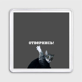 Магнит 55*55 с принтом Отвернись! в городе Новоалтайск, Пластик | Размер: 65*65 мм; Размер печати: 55*55 мм | cat | кот | смущение