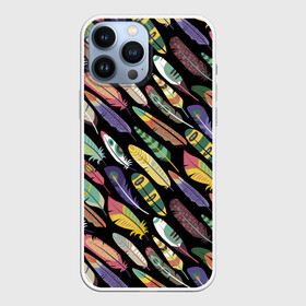 Чехол для iPhone 13 Pro Max с принтом Feathers 2022 в городе Новоалтайск,  |  | Тематика изображения на принте: color | cool | fashion | feather | hipster | круто | мода | перо | хипстер | цвет