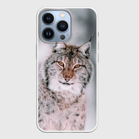 Чехол для iPhone 13 Pro с принтом Рысь в городе Новоалтайск,  |  | Тематика изображения на принте: cat | животные | звири | кис | киска | кот | котейка | котик | коты | котяра | кошка | кошки | природа | рысь