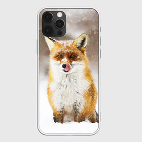 Чехол для iPhone 12 Pro Max с принтом Лиса в городе Новоалтайск, Силикон |  | Тематика изображения на принте: animal | fox | foxy | snow | winter | животное | животные | звери | зверь | зима | лиса | лисица | мороз | рыжая | снег | снежинка