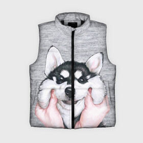 Женский жилет утепленный 3D с принтом Хаски в городе Новоалтайск,  |  | гладить собаку | животные | пёс | пёсики | серый фон | сибирский хаски | собаки | хаски