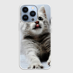 Чехол для iPhone 13 Pro с принтом серый котенок в городе Новоалтайск,  |  | Тематика изображения на принте: grey kitten | kitten | котенок | милый котенок | серый котенок