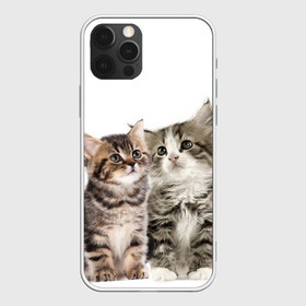 Чехол для iPhone 12 Pro Max с принтом котята в городе Новоалтайск, Силикон |  | cute kittens | kittens | котята | красивые котята | милые котята