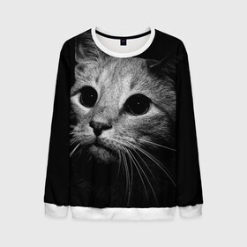 Мужской свитшот 3D Чёрный кот: в городе Новоалтайск, 100% полиэстер с мягким внутренним слоем | круглый вырез горловины, мягкая резинка на манжетах и поясе, свободная посадка по фигуре | животное | кот | кошка | тёмный рисунок | чёрный фон