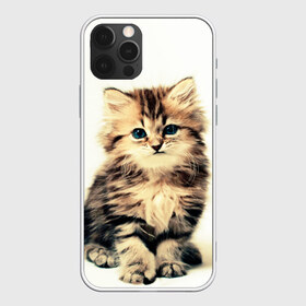 Чехол для iPhone 12 Pro Max с принтом котёнок в городе Новоалтайск, Силикон |  | cute kitten | kitten | котёнок | красивый котёнок | милый котёнок