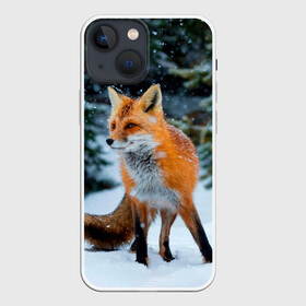 Чехол для iPhone 13 mini с принтом Лиса в зимнем лесу в городе Новоалтайск,  |  | fox | foxy | в | животные | звери | зима | зимний | зимняя | лес | лиса | лисичка | лисы | природа | снег | снежная