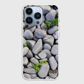 Чехол для iPhone 13 Pro с принтом Камни в городе Новоалтайск,  |  | абстрактно | абстрактные | абстрактный | абстракция | галька | каменные | каменный | камень | камни | камушки | клевер | природа | растения