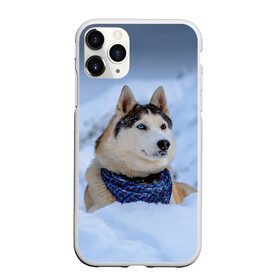 Чехол для iPhone 11 Pro матовый с принтом Хаски в городе Новоалтайск, Силикон |  | dog | животные | пес | природа | собака | собаки | собакчка | собачки | хаски