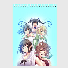 Скетчбук с принтом DanMachi в городе Новоалтайск, 100% бумага
 | 48 листов, плотность листов — 100 г/м2, плотность картонной обложки — 250 г/м2. Листы скреплены сверху удобной пружинной спиралью | Тематика изображения на принте: ais wallenstein | danmachi | dungeon | freya | is it wrong to try to pick up girls in a dungeon | белл | гестия | может я встречу тебя в подземелье | подземелье | фрейя