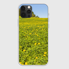 Чехол для iPhone 12 Pro Max с принтом Поле одуванчиков в городе Новоалтайск, Силикон |  | Тематика изображения на принте: одуванчики | одуванчиков | пейзаж | пейзажи | поле | поля | природа | природный | растение | растения | флора | цветок | цветы
