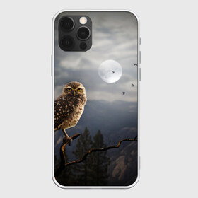 Чехол для iPhone 12 Pro Max с принтом Сова в городе Новоалтайск, Силикон |  | owl | луна | ночь | птица | сова | фэнтези