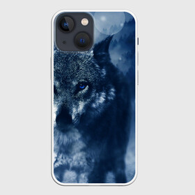 Чехол для iPhone 13 mini с принтом Красивый волк в городе Новоалтайск,  |  | wolf | ауф | волк | волчонок | зима | синеглазый волк
