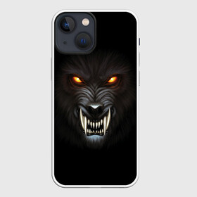 Чехол для iPhone 13 mini с принтом Злой Волк в городе Новоалтайск,  |  | wolf | волк | волкодав | волколак | волчара | вурдалак | зверь | зов волка | морской волк | оборотень | оскал | рисунок волка | санитар леса | серый волк | хищник | чертог волка | эра волка