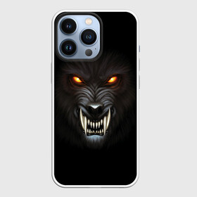 Чехол для iPhone 13 Pro с принтом Злой Волк в городе Новоалтайск,  |  | Тематика изображения на принте: wolf | волк | волкодав | волколак | волчара | вурдалак | зверь | зов волка | морской волк | оборотень | оскал | рисунок волка | санитар леса | серый волк | хищник | чертог волка | эра волка