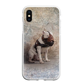 Чехол для iPhone XS Max матовый с принтом Бойцовый бультерьер в городе Новоалтайск, Силикон | Область печати: задняя сторона чехла, без боковых панелей | Тематика изображения на принте: bull terrier | dog | ears | eyes | muzzle | paws | plaster | texture | wall | бультерьер | глаза | лапы | намордник | пёс | собака | стена | текстура | уши | штукатурка