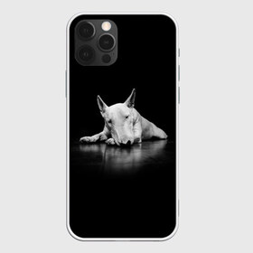 Чехол для iPhone 12 Pro Max с принтом Puppy в городе Новоалтайск, Силикон |  | Тематика изображения на принте: bull terrier | dog | ears | eyes | muzzle | nose | paws | puppy | бультерьер | глаза | лапы | нос | уши | щенок