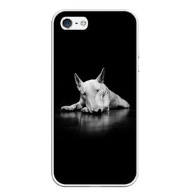 Чехол для iPhone 5/5S матовый с принтом Puppy в городе Новоалтайск, Силикон | Область печати: задняя сторона чехла, без боковых панелей | Тематика изображения на принте: bull terrier | dog | ears | eyes | muzzle | nose | paws | puppy | бультерьер | глаза | лапы | нос | уши | щенок