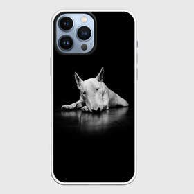 Чехол для iPhone 13 Pro Max с принтом Puppy в городе Новоалтайск,  |  | Тематика изображения на принте: bull terrier | dog | ears | eyes | muzzle | nose | paws | puppy | бультерьер | глаза | лапы | нос | уши | щенок