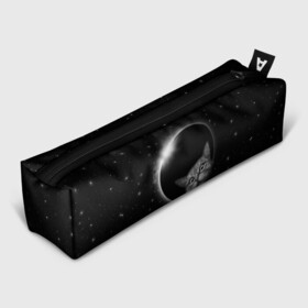 Пенал 3D с принтом Кот в Космосе в городе Новоалтайск, 100% полиэстер | плотная ткань, застежка на молнии | Тематика изображения на принте: 2021 | cat | вселенная | галактика | галактический кот | единорог | звезда | звезды | земля | космический кот | космос | кот | кот в космосе | кот мем | котик | кошак | мем | мемы | милый кот | милый котик