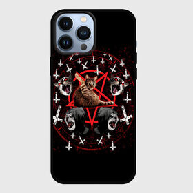 Чехол для iPhone 13 Pro Max с принтом Satanic Cat в городе Новоалтайск,  |  | Тематика изображения на принте: satan | киска | кот | кот мем | кошечка | кошка | кошки и коты | лиса | лисы | мем | мемы | с кошкой | сатана