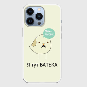 Чехол для iPhone 13 Pro с принтом Чык чырык в городе Новоалтайск,  |  | Тематика изображения на принте: belarus | chyk chyryk | daddy | lukashenka | mustache | print chyk chyryk | sparrow | sparrow chyk chyryk | sparrow with mustache | батька | беларусь | воробей | воробей с усами | воробей чык чырык | лукашенко | принт чык чырык | усы | чык ч