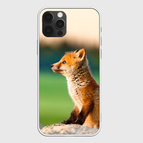 Чехол для iPhone 12 Pro Max с принтом Лиса в городе Новоалтайск, Силикон |  | fox | foxy | животное | звери | лиса | лисенок | лисичка | милая | рыжая | фокс