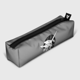 Пенал 3D с принтом Евангилион в городе Новоалтайск, 100% полиэстер | плотная ткань, застежка на молнии | Тематика изображения на принте: anime | eva | evangelion | nerv | аниме | анимэ | ева | евангилион | нерв | роботы | рэй | синдзи | япония