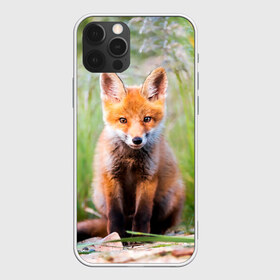 Чехол для iPhone 12 Pro Max с принтом Лисичка в городе Новоалтайск, Силикон |  | Тематика изображения на принте: fox | foxy | животное | звери | лиса | лисенок | лисичка | милая | рыжая | фокс
