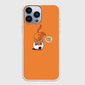 Чехол для iPhone 13 Pro Max с принтом Хьюстон, у нас проблемы в городе Новоалтайск,  |  | Тематика изображения на принте: банка | забавная ситуация | кот | надпись | рыжий | рыжий кот