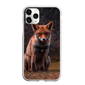 Чехол для iPhone 11 Pro Max матовый с принтом Хищная лисица в городе Новоалтайск, Силикон |  | fox | foxy | животное | звери | лиса | лисенок | лисичка | милая | рыжая | фокс