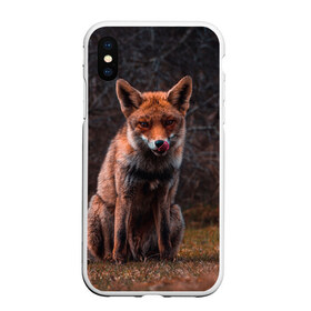Чехол для iPhone XS Max матовый с принтом Хищная лисица в городе Новоалтайск, Силикон | Область печати: задняя сторона чехла, без боковых панелей | fox | foxy | животное | звери | лиса | лисенок | лисичка | милая | рыжая | фокс