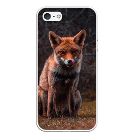 Чехол для iPhone 5/5S матовый с принтом Хищная лисица в городе Новоалтайск, Силикон | Область печати: задняя сторона чехла, без боковых панелей | fox | foxy | животное | звери | лиса | лисенок | лисичка | милая | рыжая | фокс