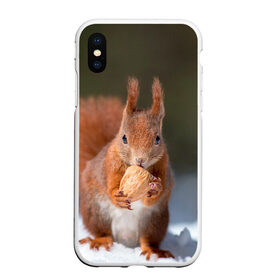 Чехол для iPhone XS Max матовый с принтом белка с орехом на снегу в городе Новоалтайск, Силикон | Область печати: задняя сторона чехла, без боковых панелей | Тематика изображения на принте: белка | белочка | бельченок | вкусняшка | животные | запасы | звери | зима | орех | снег