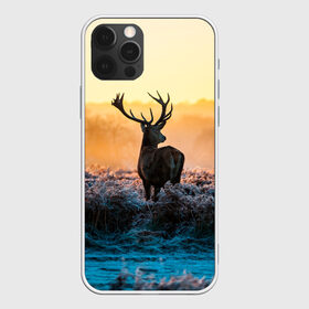 Чехол для iPhone 12 Pro Max с принтом олень рассвет зима в городе Новоалтайск, Силикон |  | Тематика изображения на принте: закат | зверь | зима | иней | лес | лось | олень | природа | рассвет | рога