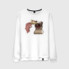 Мужской свитшот хлопок с принтом Pop Cat в городе Новоалтайск, 100% хлопок |  | art | cat | dj | eat | feed | goer | musician | party | pop | singer | арт | буп | диджей | кот | кошка | музыкант | певец | поп | тусовщик