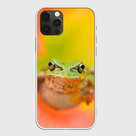 Чехол для iPhone 12 Pro Max с принтом лягушка в цветке мило в городе Новоалтайск, Силикон |  | жаба | жабка | земноводное | ква | квакуха | лягушенок | лягушка | макро | мило | природа | пыльца | цветок