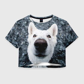 Женская футболка Crop-top 3D собака нос крупно: в городе Новоалтайск, 100% полиэстер | круглая горловина, длина футболки до линии талии, рукава с отворотами | животные | звери | кадр | крупно | любопытный | макро | нос | пес | собака