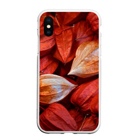 Чехол для iPhone XS Max матовый с принтом прекрасный красный физалис в городе Новоалтайск, Силикон | Область печати: задняя сторона чехла, без боковых панелей | Тематика изображения на принте: красноватый | красные коробочки | красный | листья | осень | прикольный | природа | растения | текстура | теплый | фезалис | физалис | фонарики