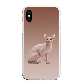 Чехол для iPhone XS Max матовый с принтом Лысый кот сфинкс в городе Новоалтайск, Силикон | Область печати: задняя сторона чехла, без боковых панелей | арт | бежевый | без шерсти | градиент | домашний питомец | киса | кот | котейка | котенок | котик | котэ | кошка | лысый | реализм | складки кожи | сфинкс | экзотика