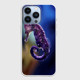 Чехол для iPhone 13 Pro с принтом Морской конёк в городе Новоалтайск,  |  | вода | водоросли | море | морскойконёк | рыба