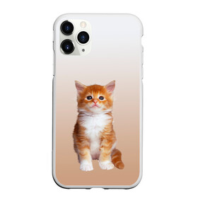 Чехол для iPhone 11 Pro Max матовый с принтом бело-рыжий котенок реализм в городе Новоалтайск, Силикон |  | Тематика изображения на принте: cat | kitten | бело рыжий | градиент | кот | котейка | котенок | котеночек | котик | котофей | котэ | кошка | малыш | милаш | мяу | нэко | реализм | рыже белый