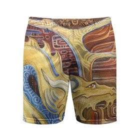 Мужские шорты спортивные с принтом узорчатый дракон в городе Новоалтайск,  |  | дракон | орнамент | узор