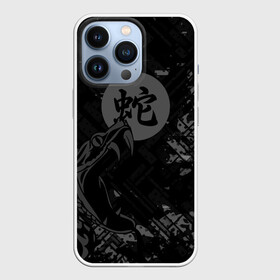 Чехол для iPhone 13 Pro с принтом Кобра в городе Новоалтайск,  |  | Тематика изображения на принте: животные | звери | змея | иероглиф | кобра | символ | япония